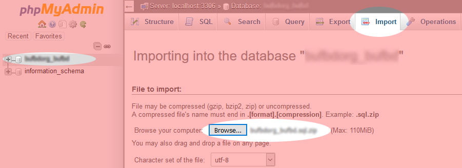 Move WordPress Site from Localhost to Live Server - Import Database