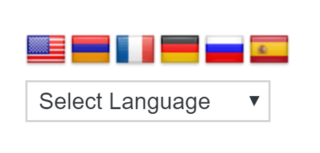 Language selector of Google Language Translator Widget