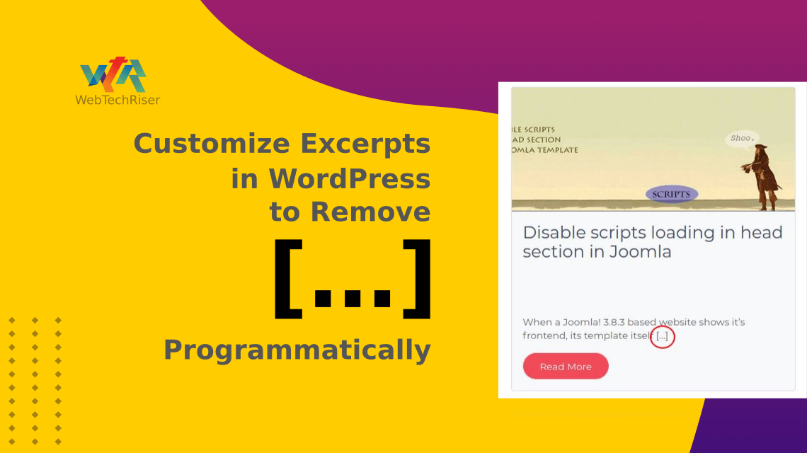 How To Customize Excerpts in WordPress to Remove the […] Programmatically